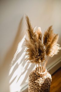 bunch of dry plants in vase